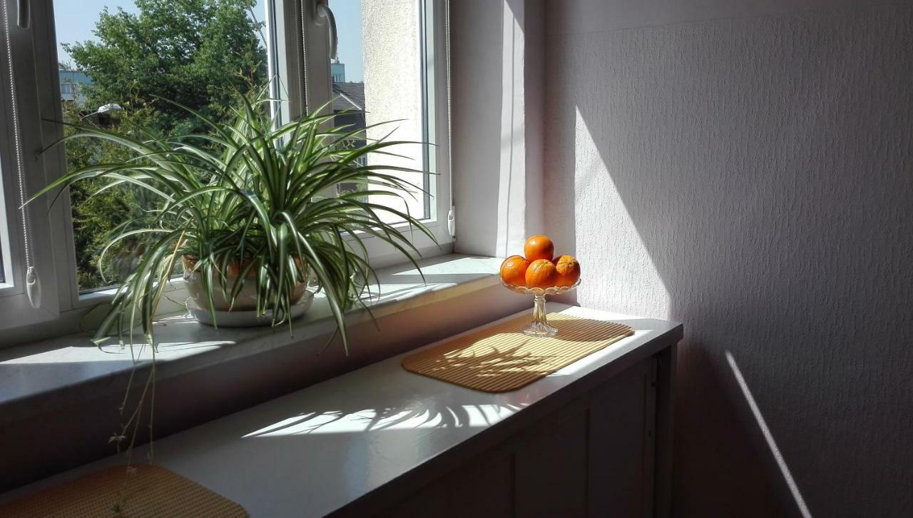 Studio Krakowski Styl Extérieur photo